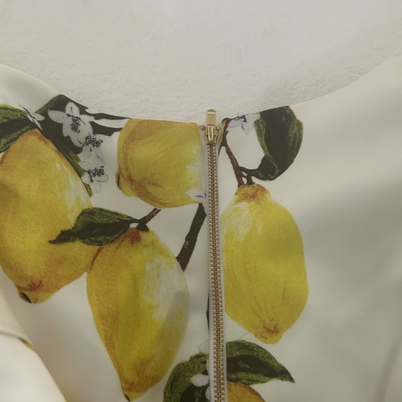 Amur cropped ruffle sleeve lemon print crop top white yellow v neck - Picture 12 of 13